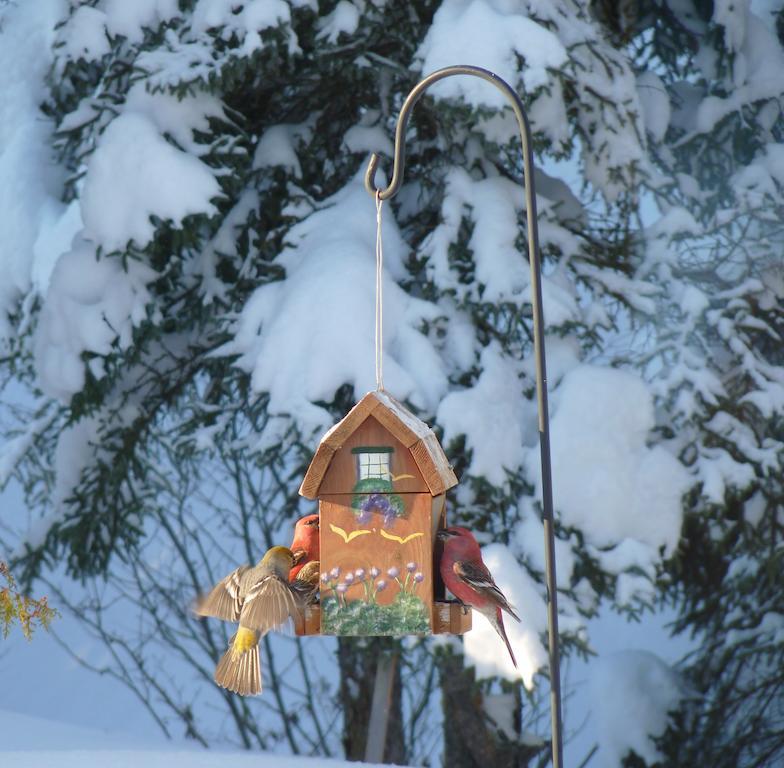Bed and Breakfast Gite De La Riviere Chibougamau Zewnętrze zdjęcie